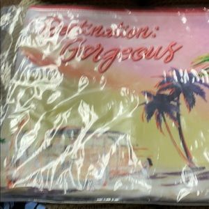 Carry bag or large make up bag